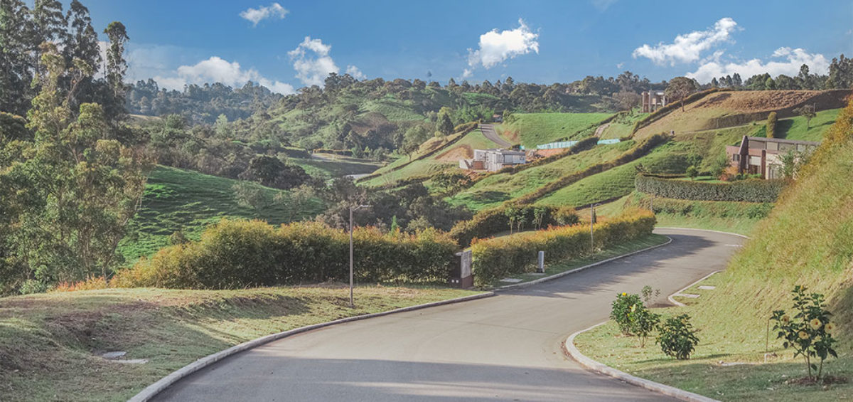 Paisaje La Selva