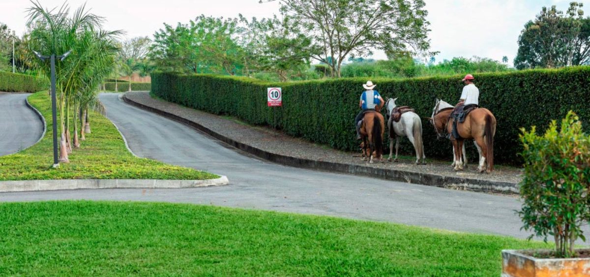 Caballos La Trinidad, Constructora Serving