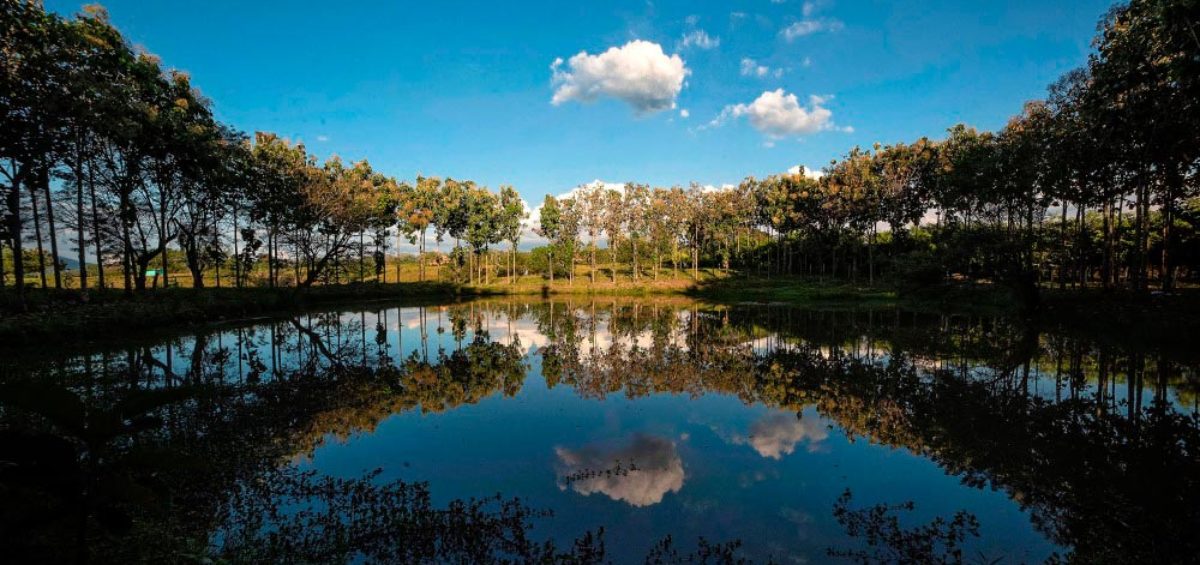 Laguna La Trinidad